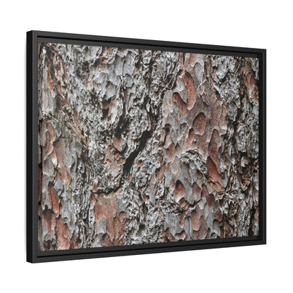 Bark Texture Symphony - Unique Stretched Canvas Wall Art