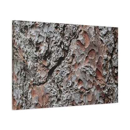 Textured Whispers of Bark - Unique Frameless Canvas Wall Art