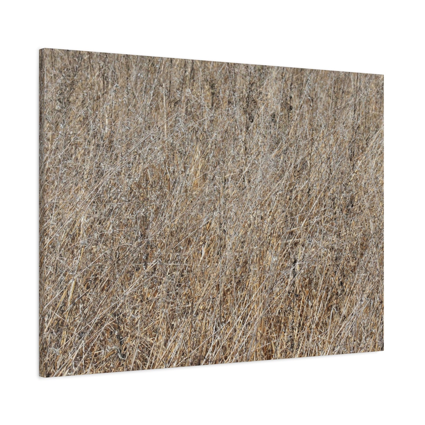 Silent Prairie - Unique Frameless Canvas Wall Art - Art By Earth