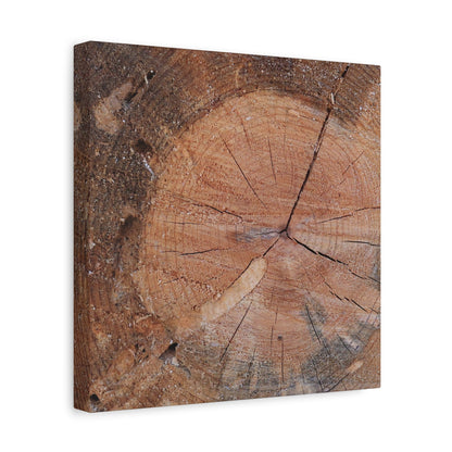 Timber Tale - Unique Frameless Canvas Wall Art