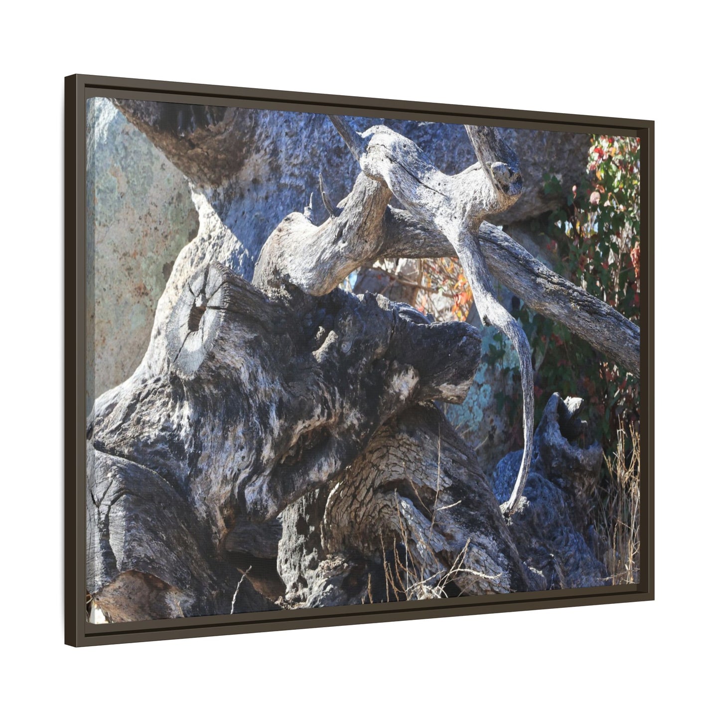 Resilient Roots - Unique Stretched Canvas Wall Art - Art By Earth