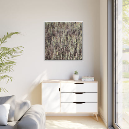 Sage Fields Forever - Unique Stretched Canvas Wall Art - Art By Earth