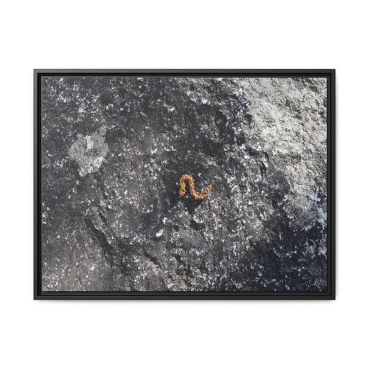 Volcanic Ash and Copper - Unique Stretched Canvas Wall Art