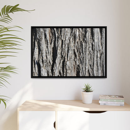 Nature's Abstract - Unique Stretched Canvas Wall Art