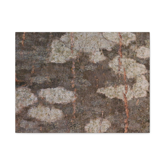 Earthen Memoir - Unique Frameless Canvas Wall Art