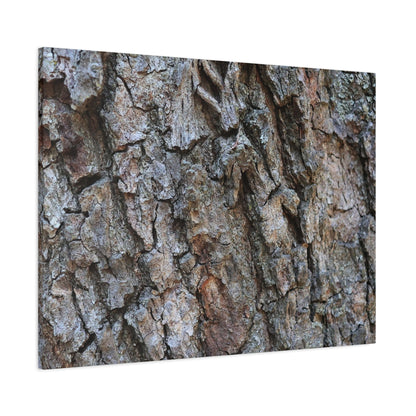 Rugged Canvas - Unique Frameless Canvas Wall Art