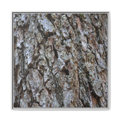 Woodland Canvas - Unique Stretched Canvas Wall Art