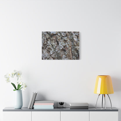 Cracked Echoes - Unique Frameless Canvas Wall Art