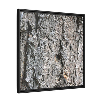 Crusty Exterior - Unique Stretched Canvas Wall Art