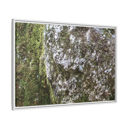 Lichen Landscape - Unique Stretched Canvas Wall Art