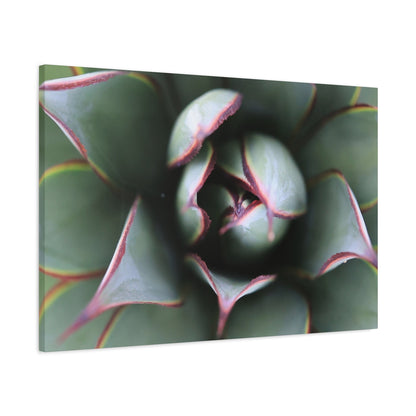 Emerald Spiral - Unique Frameless Canvas Wall Art