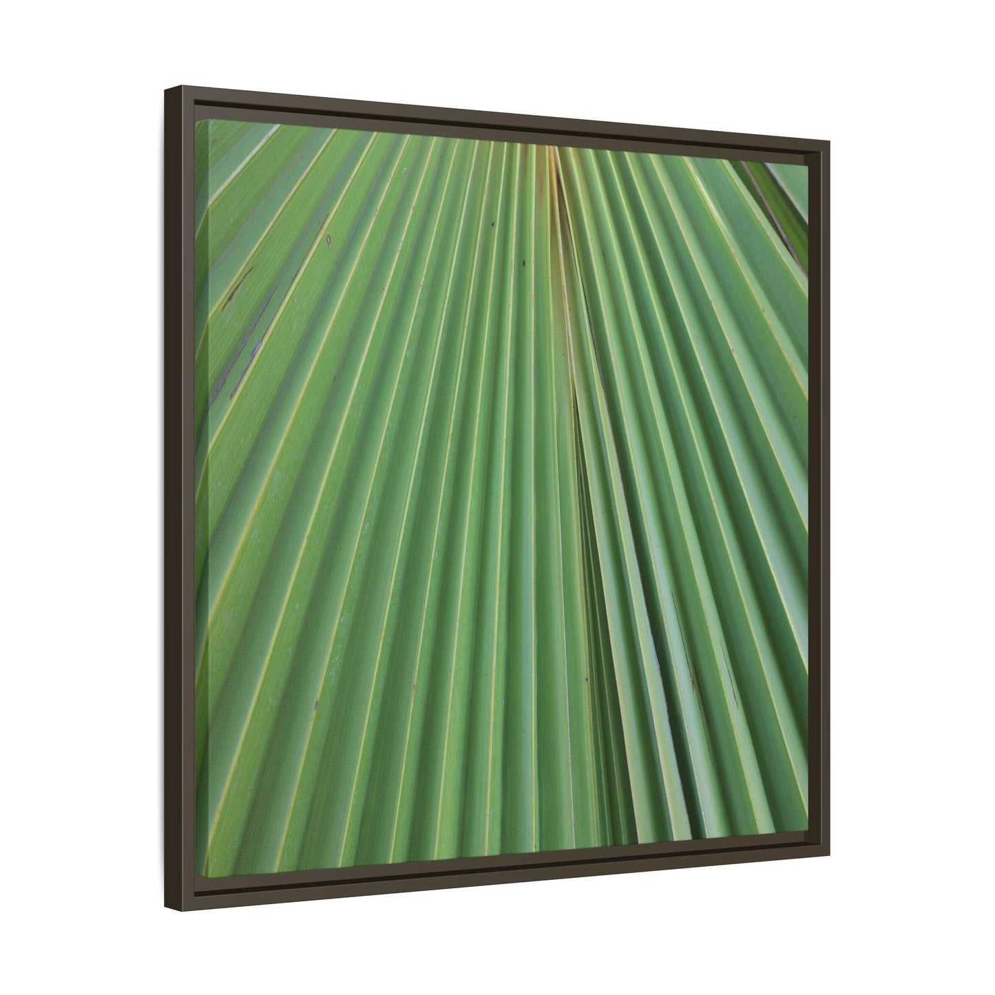 Verdant Veins - Unique Stretched Canvas Wall Art