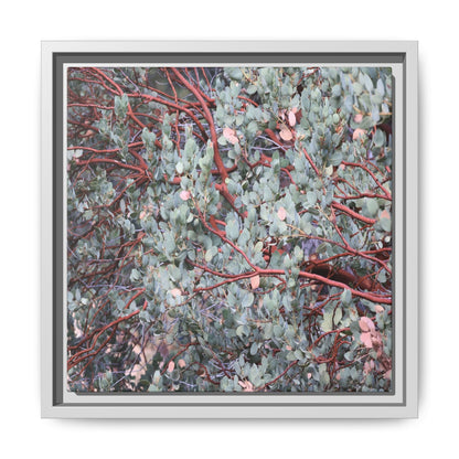 Whispers of Sage - Unique Stretched Canvas Wall Art