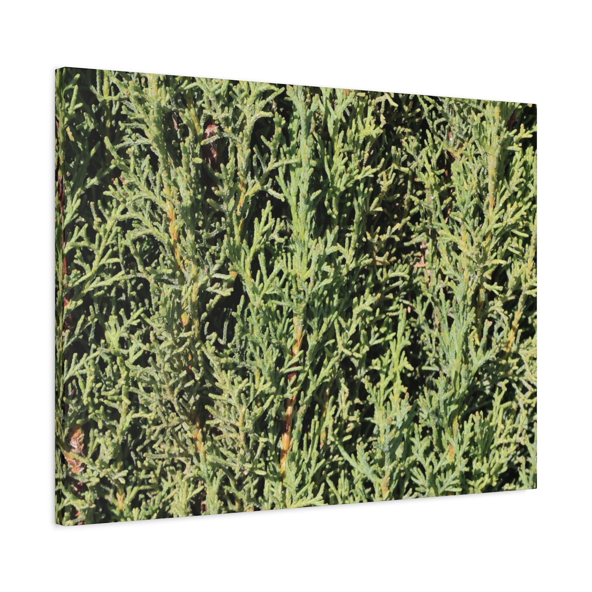 Emerald Tapestry - Unique Frameless Canvas Wall Art - Art By Earth