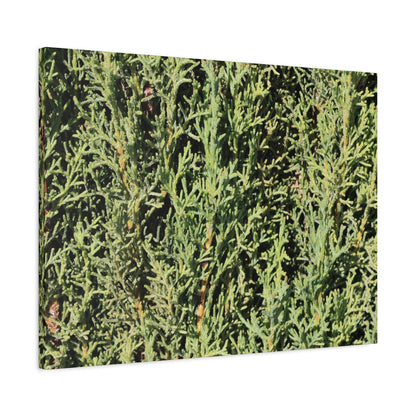 Emerald Tapestry - Unique Frameless Canvas Wall Art - Art By Earth