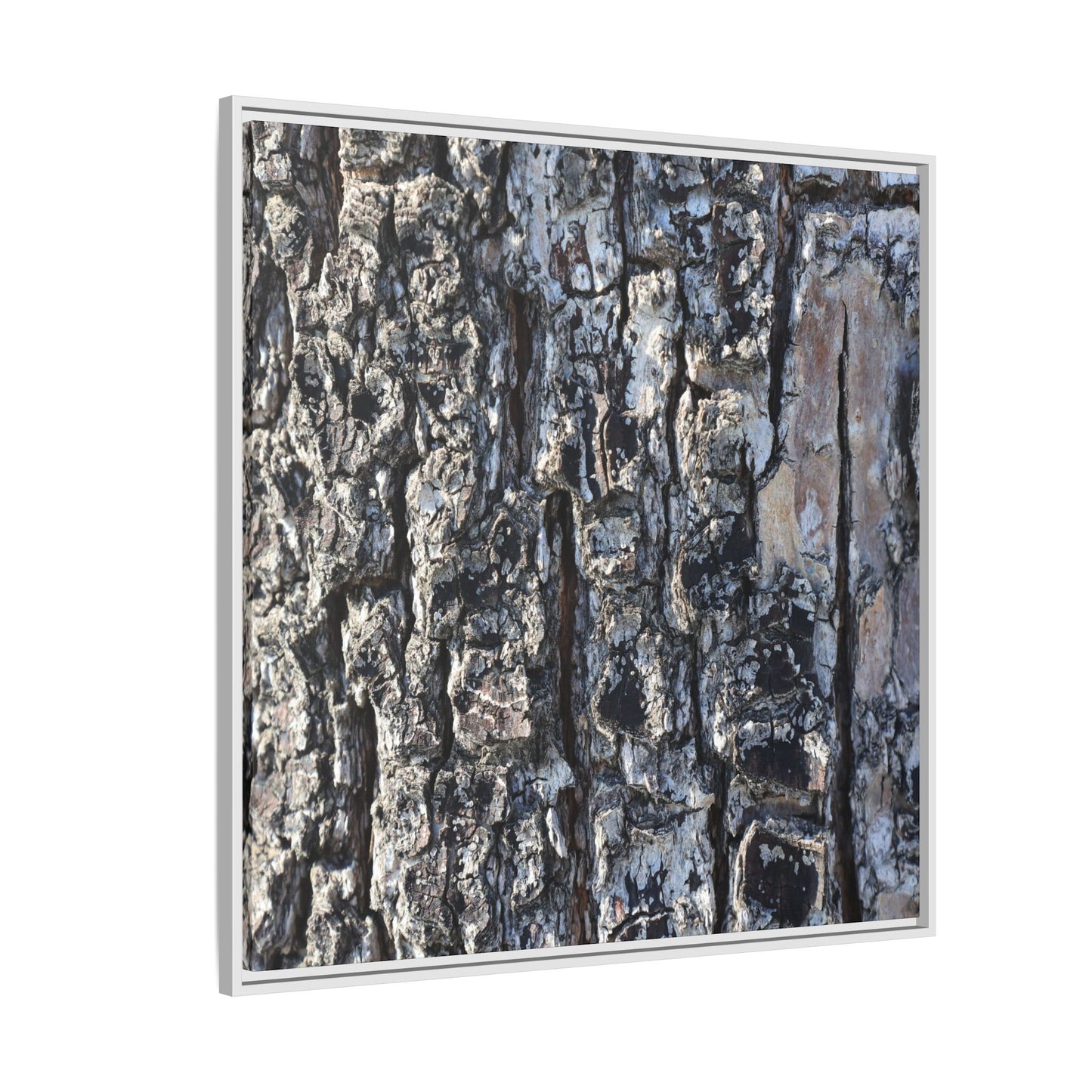 The Bark Chronicles - Unique Stretched Canvas Wall Art