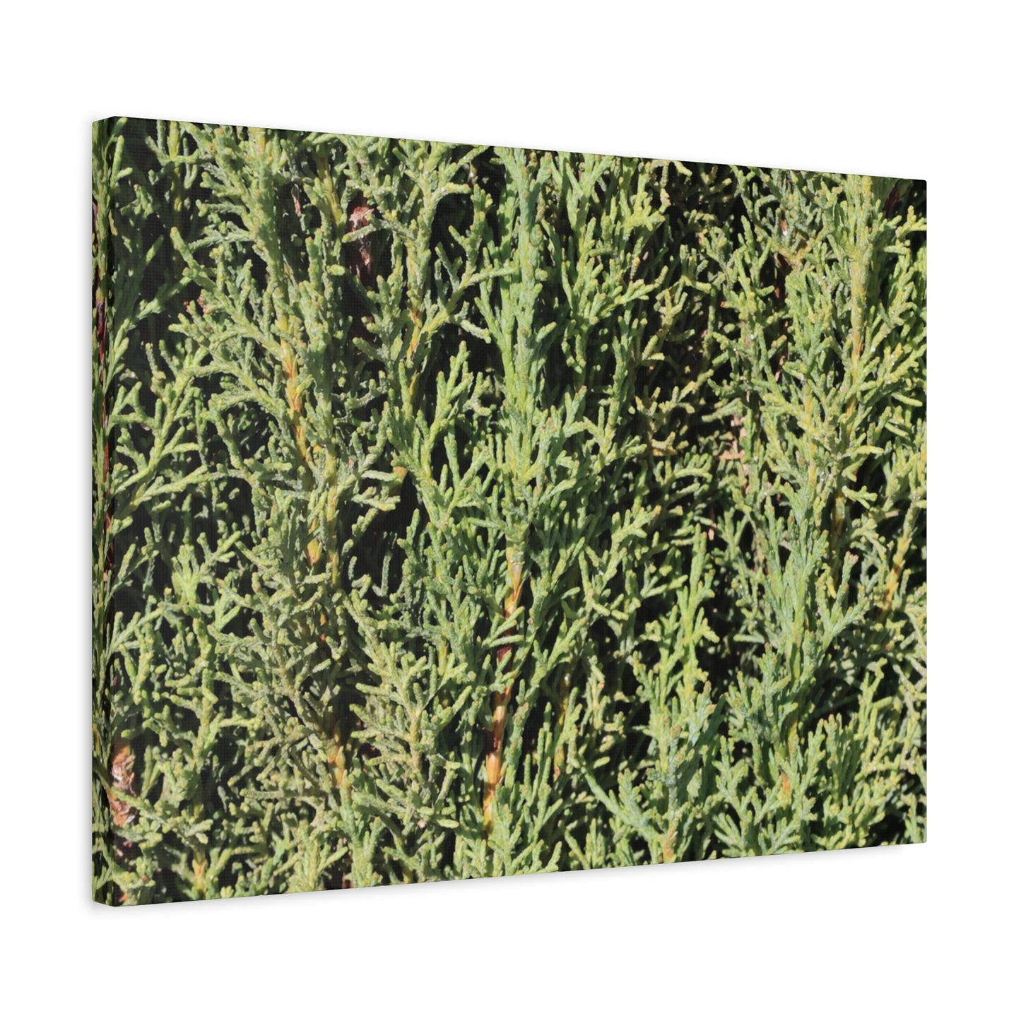 Emerald Tapestry - Unique Frameless Canvas Wall Art - Art By Earth