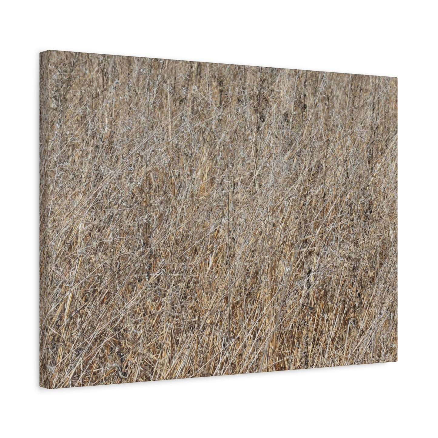 Silent Prairie - Unique Frameless Canvas Wall Art - Art By Earth