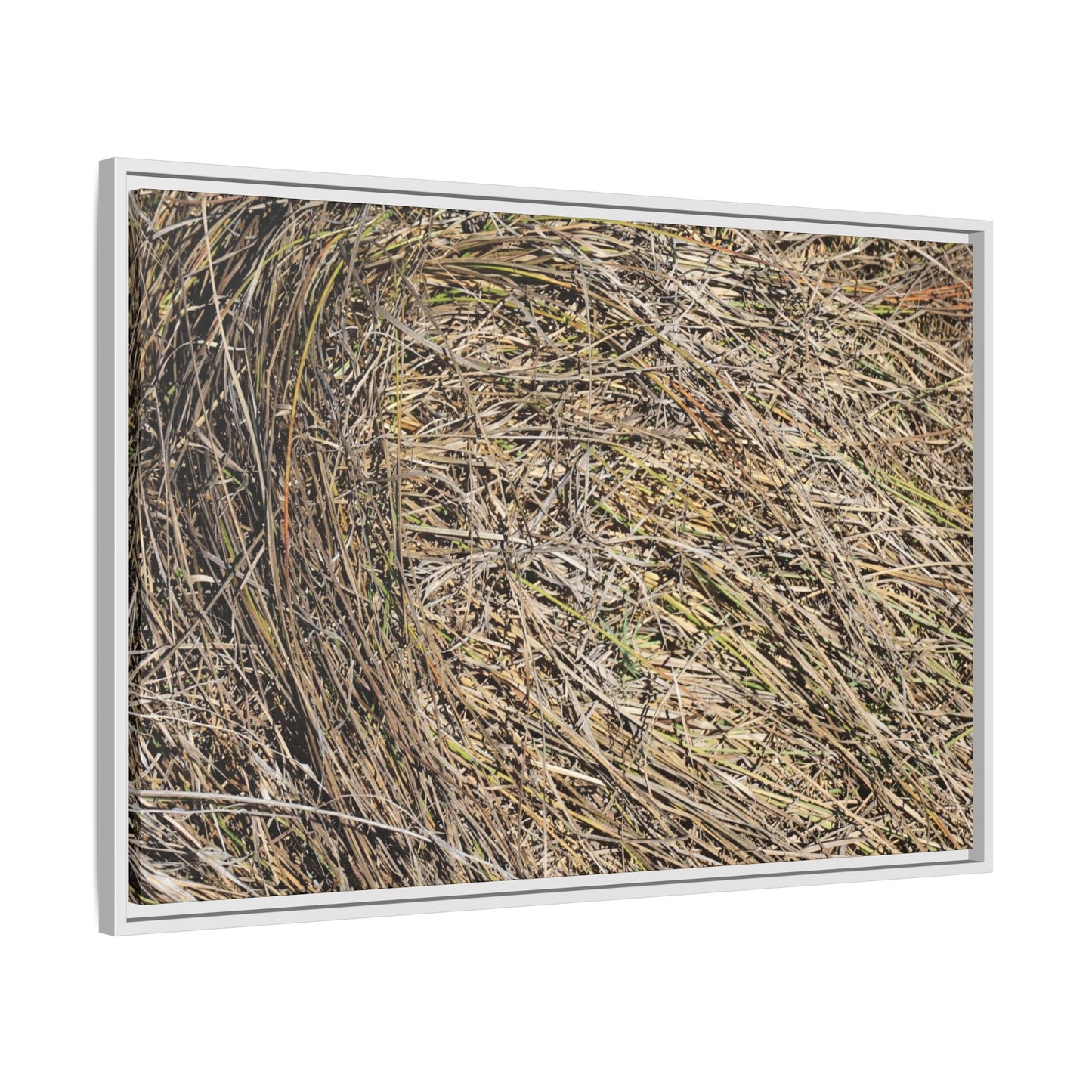 Tangled Grass Symphony - Unique Stretched Canvas Wall Art - Art By Earth
