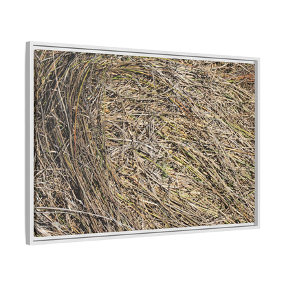 Tangled Grass Symphony - Unique Stretched Canvas Wall Art - Art By Earth