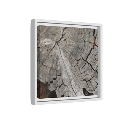 Time's Signature - Unique Stretched Canvas Wall Art