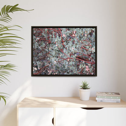 Whispers of Sage - Unique Stretched Canvas Wall Art