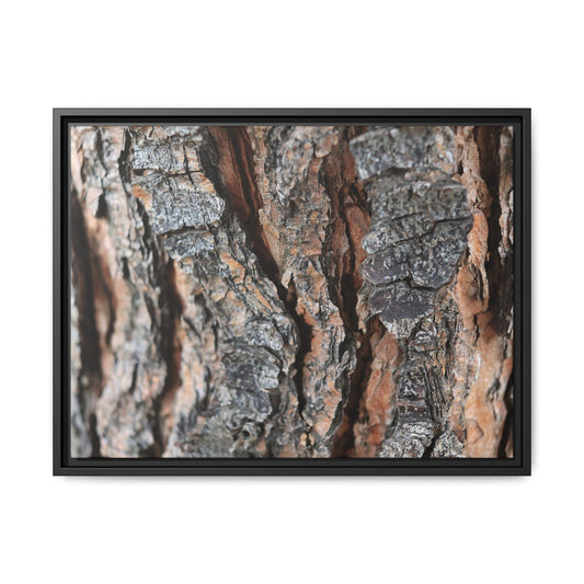 Fractured Nature - Unique Stretched Canvas Wall Art