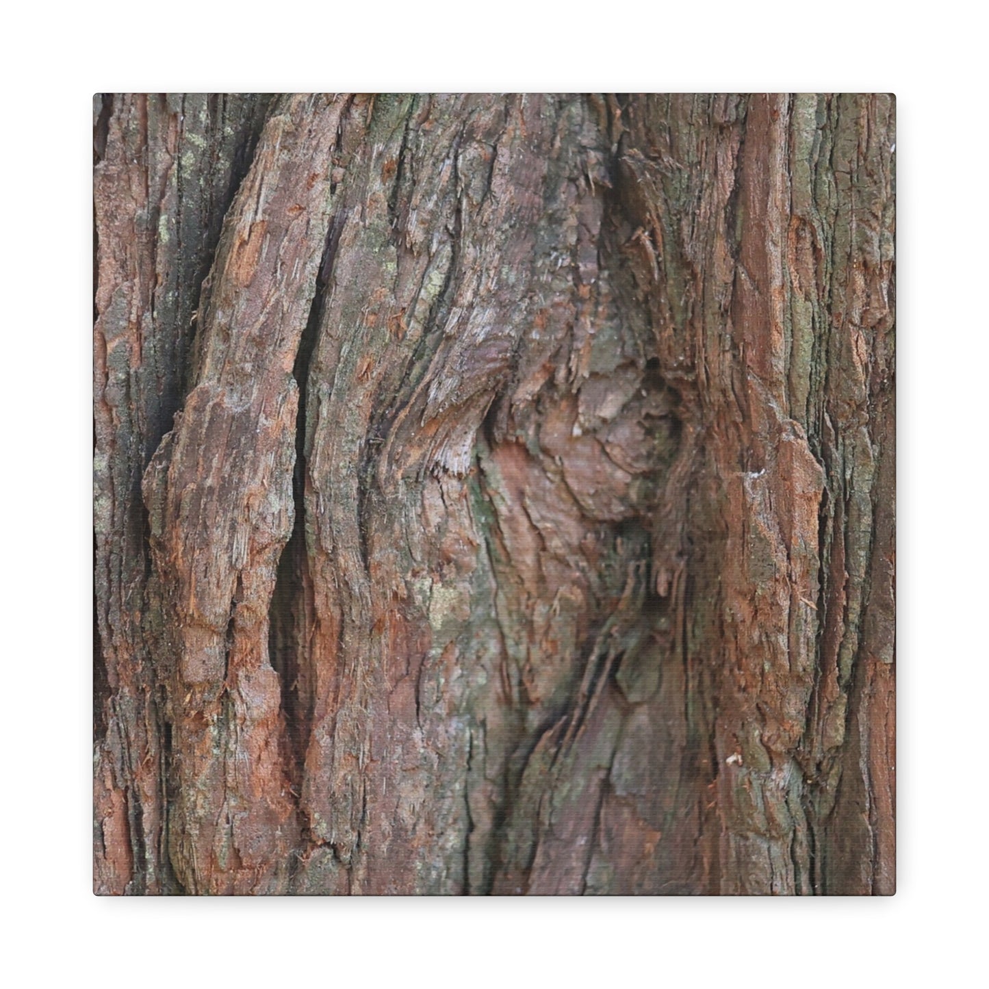 Rustic Embrace - Unique Frameless Canvas Wall Art