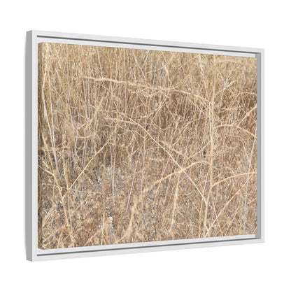 Golden Stalks - Unique Stretched Canvas Wall Art
