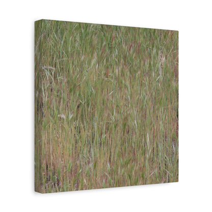 Whispers of the Prairie - Unique Frameless Canvas Wall Art