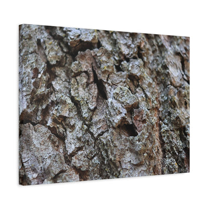 Cracked Echoes - Unique Frameless Canvas Wall Art