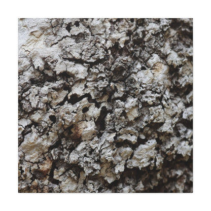 Cracked Earth Tapestry - Unique Frameless Canvas Wall Art