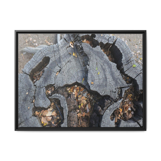 Time's Fractal Memory - Unique Stretched Canvas Wall Art