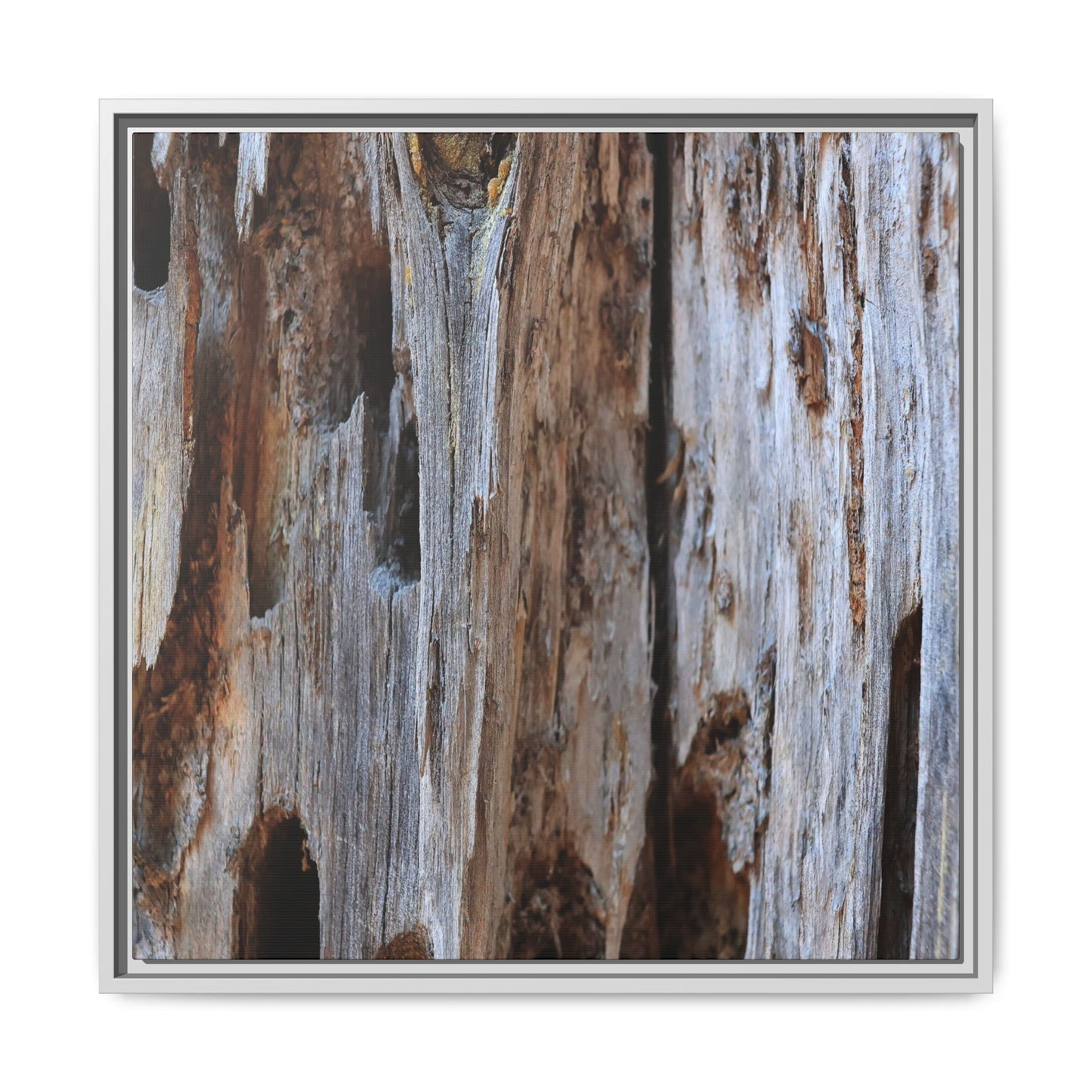 Decaying Splendor - Unique Stretched Canvas Wall Art
