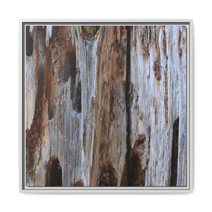 Decaying Splendor - Unique Stretched Canvas Wall Art