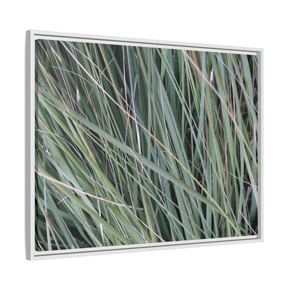 Grassland Symphony - Unique Stretched Canvas Wall Art