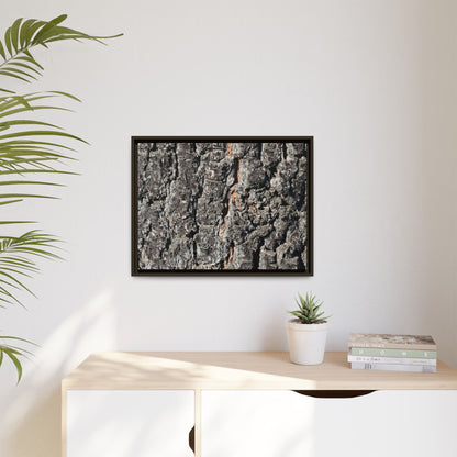 Aged Beauty - Unique Stretched Canvas Wall Art