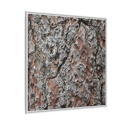 Bark Texture Symphony - Unique Stretched Canvas Wall Art