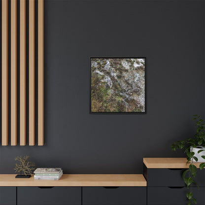 Mossy Whispers - Unique Stretched Canvas Wall Art