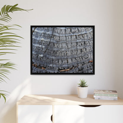 Charred Memories - Unique Stretched Canvas Wall Art