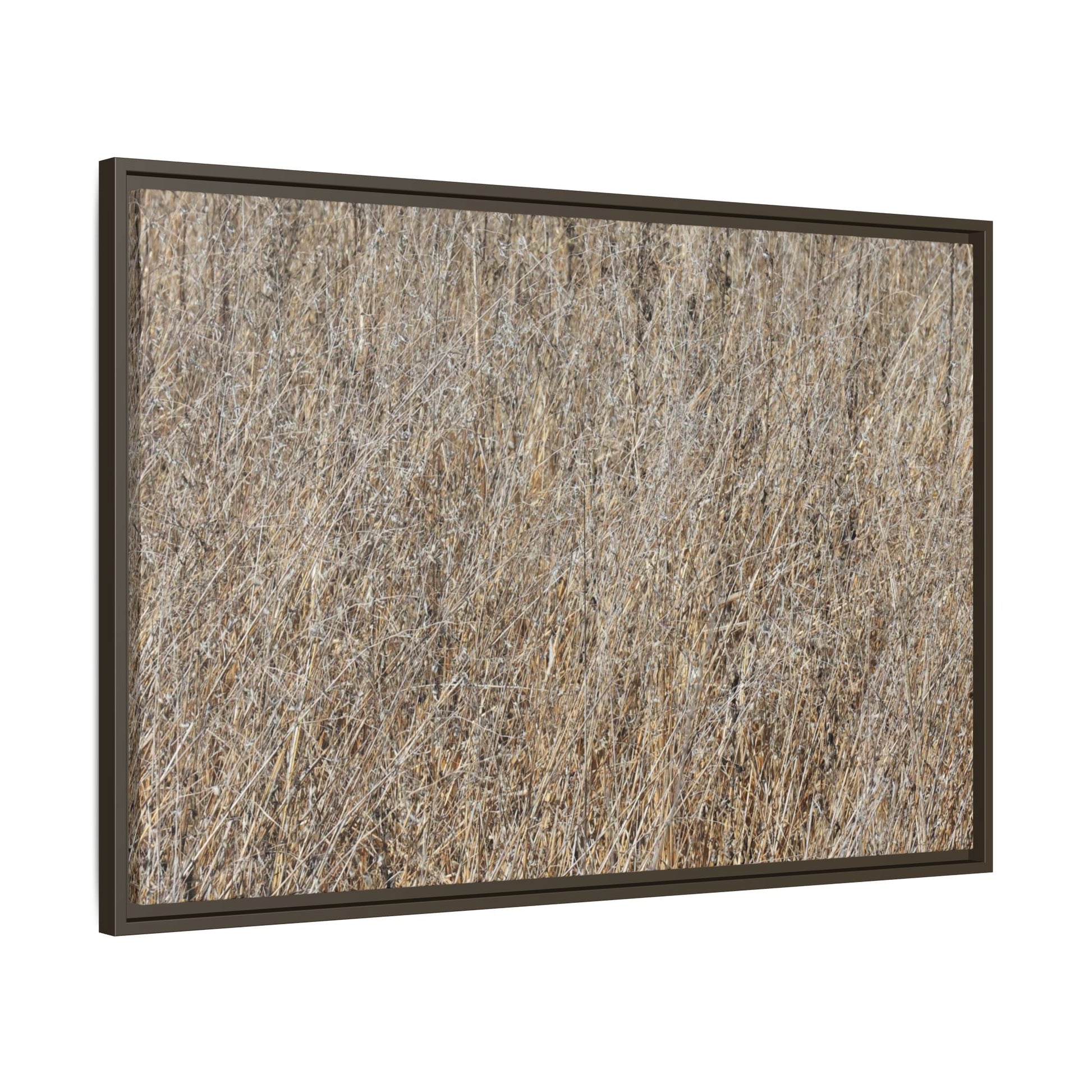 Whispers of Straw - Unique Stretched Canvas Wall Art - Art By Earth