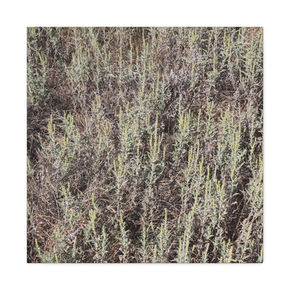 Whispers in the Sage - Unique Stretched Canvas Wall Art - Art By Earth