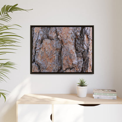 Tree Skin Symphony - Unique Stretched Canvas Wall Art