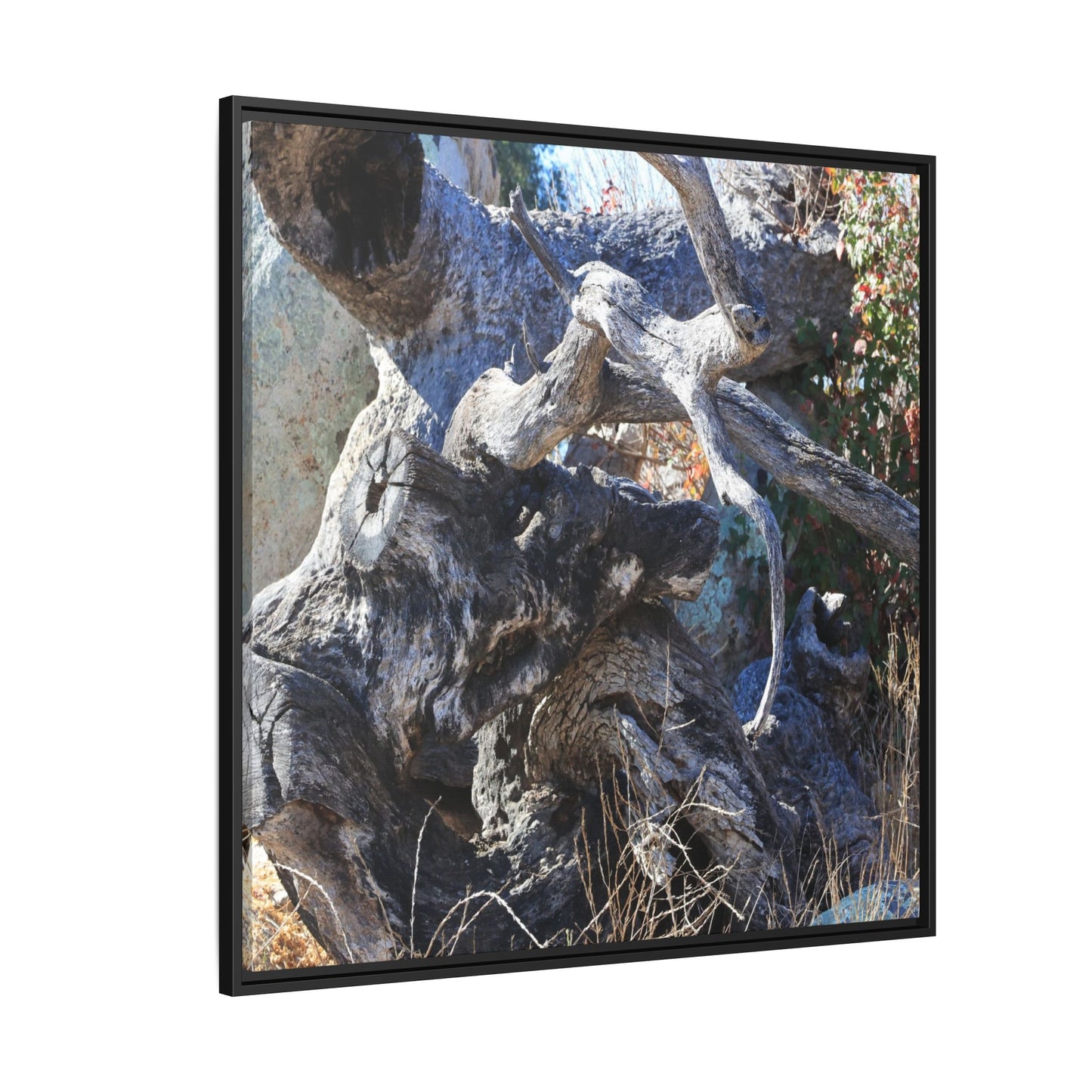 Resilient Roots - Unique Stretched Canvas Wall Art - Art By Earth