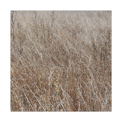 Whispers of Autumn - Unique Frameless Canvas Wall Art - Art By Earth