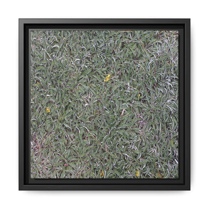 Grassy Texture - Unique Stretched Canvas Wall Art