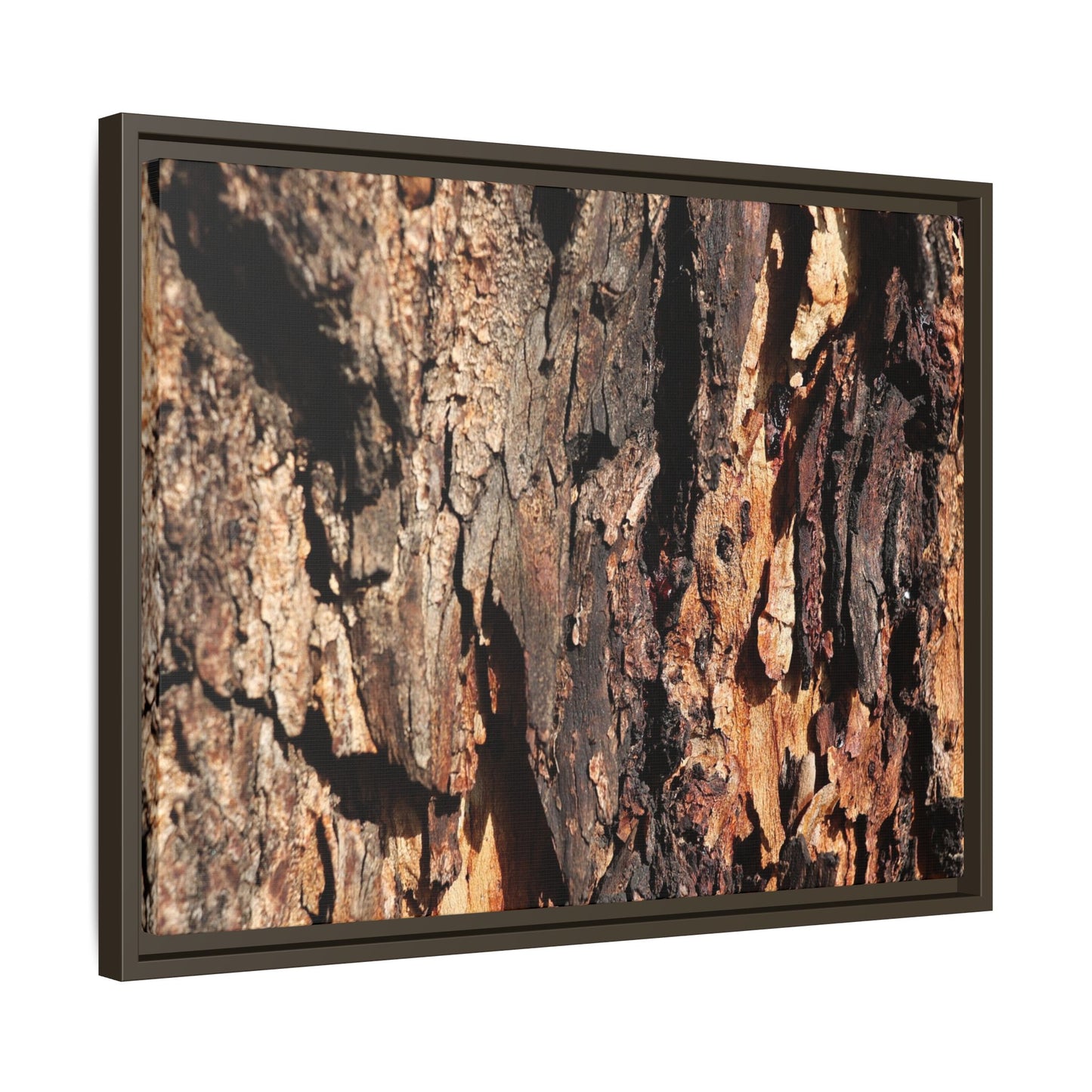 Rugged Beauty - Unique Stretched Canvas Wall Art