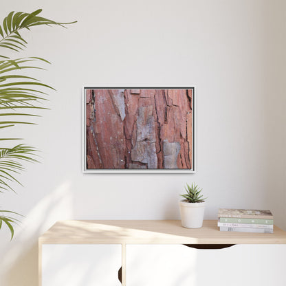 Peeling Bark - Unique Stretched Canvas Wall Art