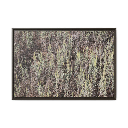 Sage Fields Forever - Unique Stretched Canvas Wall Art - Art By Earth