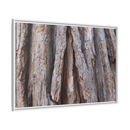 Nature's Sculpture - Unique Stretched Canvas Wall Art